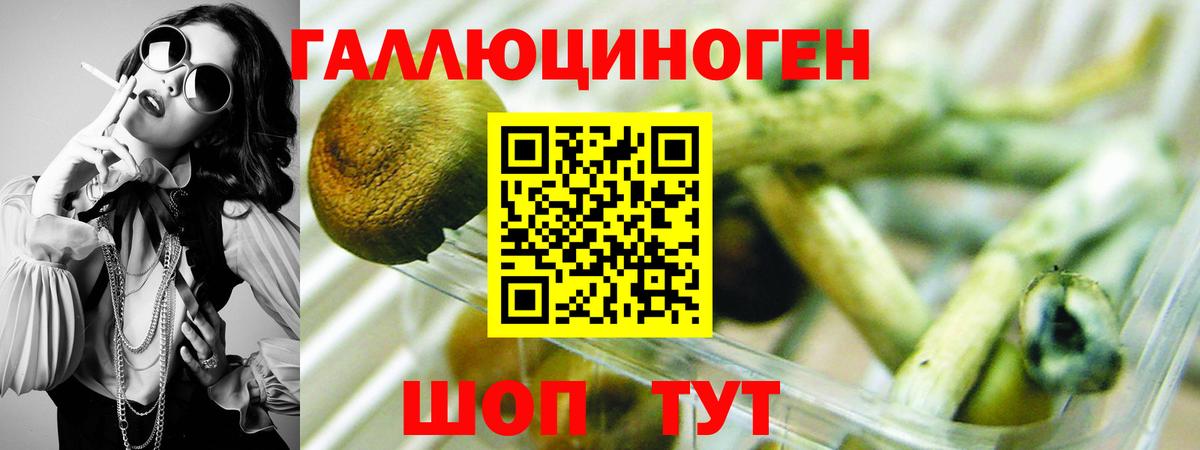 МЕТ  Шали  Вход с VPN  МЕФ кристаллы  Вейп ТГК  КОКАИН  Каннабис  Гашиш 