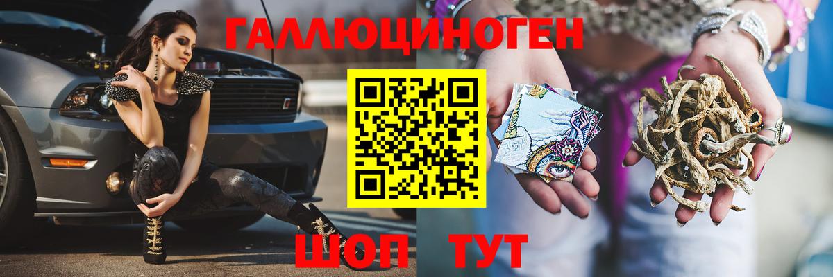Псилоцибиновые грибы мицелий  Вход с VPN  Шали  Галлюциногенные грибы Psilocybe 